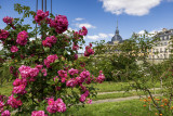 Potager du Roi