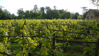 Le Hameau de la Reine Le Hameau de la Reine