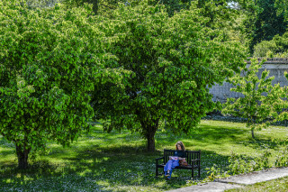 Potager du Roi - © Thibaut Chapotot Potager du Roi
