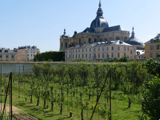Potager du Roi Potager du Roi