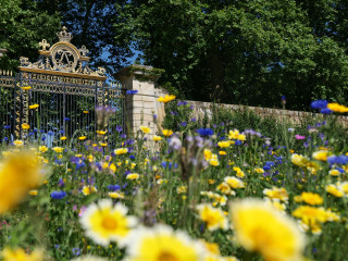 Potager du Roi Potager du Roi