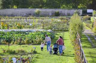 Potager du Roi