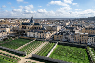 Potager du Roi - © Laure DENIS Potager du Roi