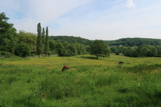 Bois des Loges-en-Josas Bois des Loges-en-Josas