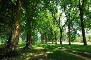 Arboretum de Chèvreloup