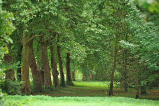 Arboretum de Chèvreloup