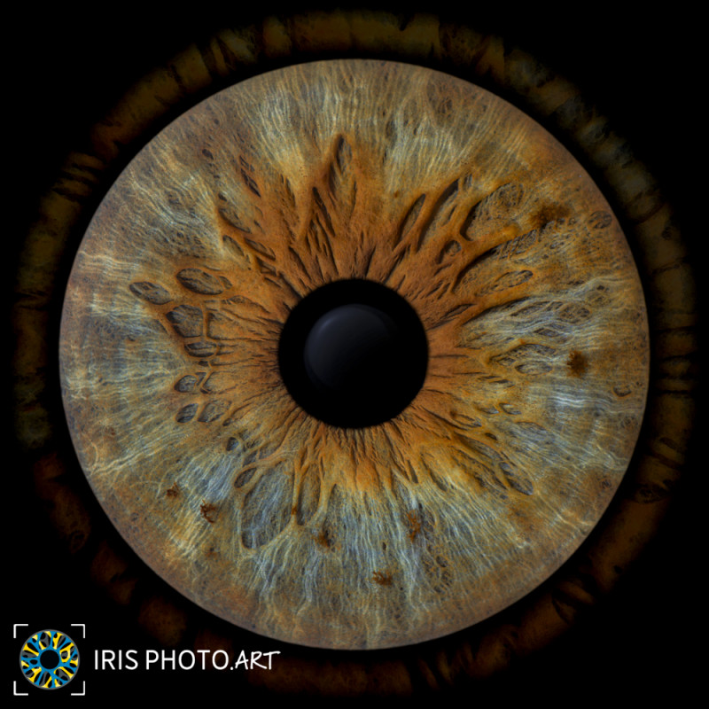IRIS PHOTO ART