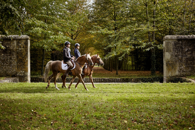 Balade en cheval - © Horse In The City Balade en cheval