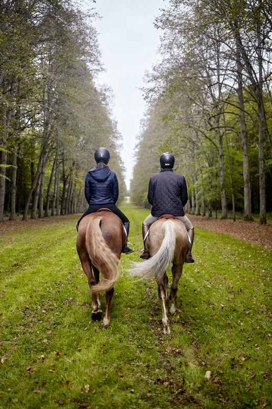 promenade équestre - © Horse In The City promenade équestre