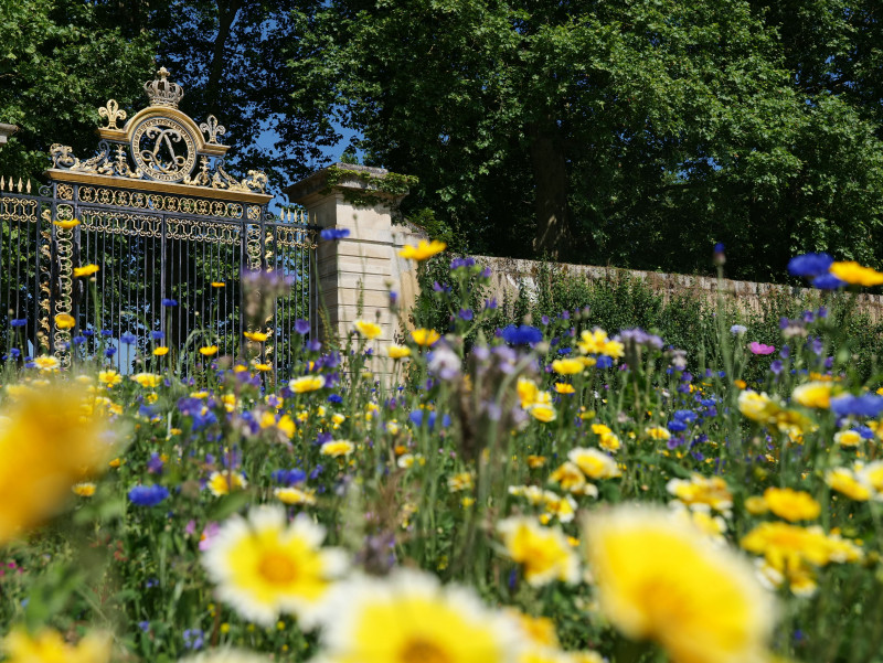 Potager du Roi Potager du Roi