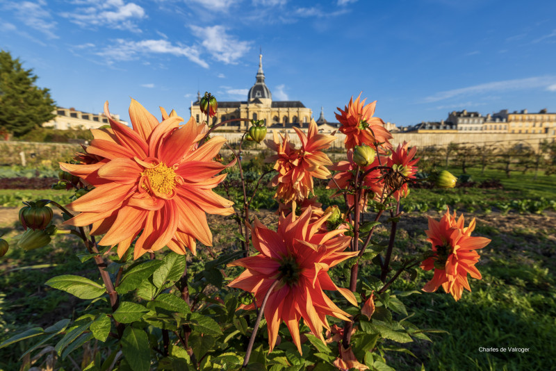 Potager du Roi Potager du Roi