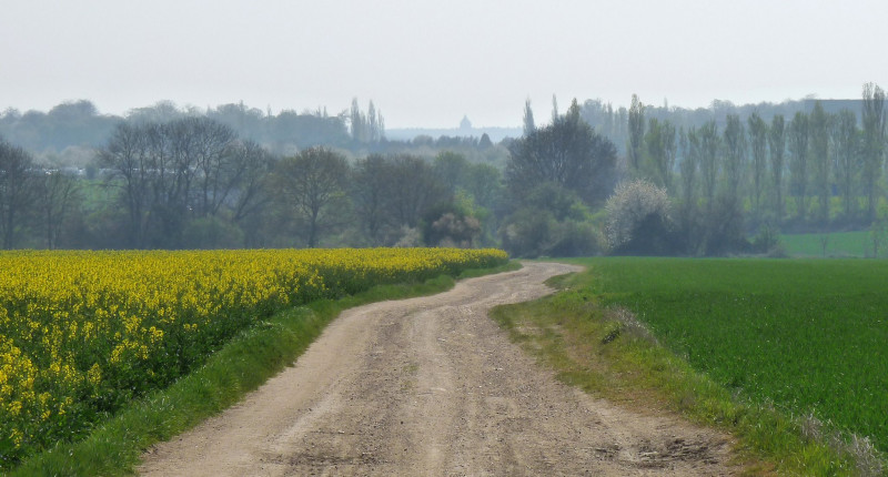 The Lord's Trail - Hiking trail_Fontenay-le-Fleury - © Mairie de Saint Cyr The Lord's Trail - Hiking trail_Fontenay-le-Fleury