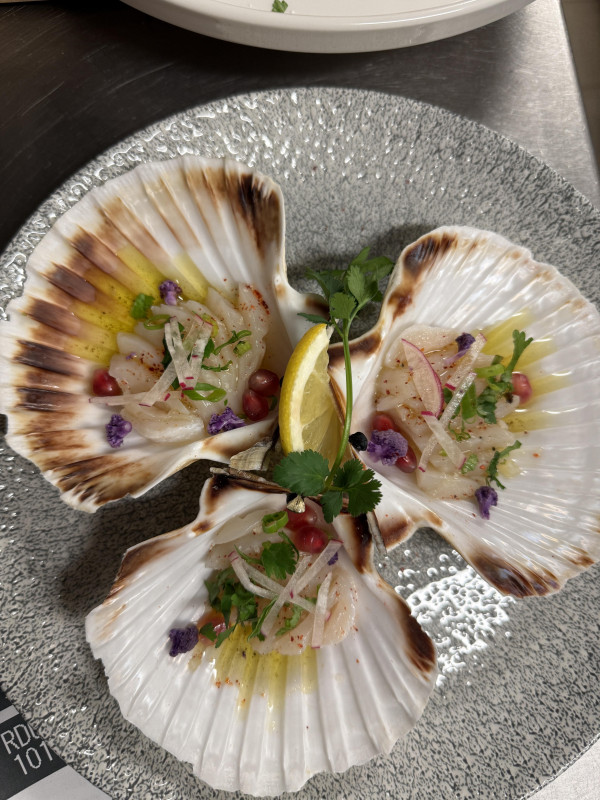 La Petite Boussole_Versailles