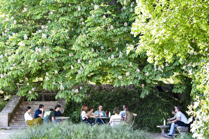 Potager du Roi Potager du Roi