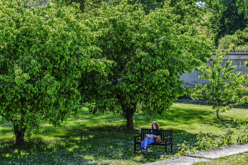 Potager du Roi Potager du Roi