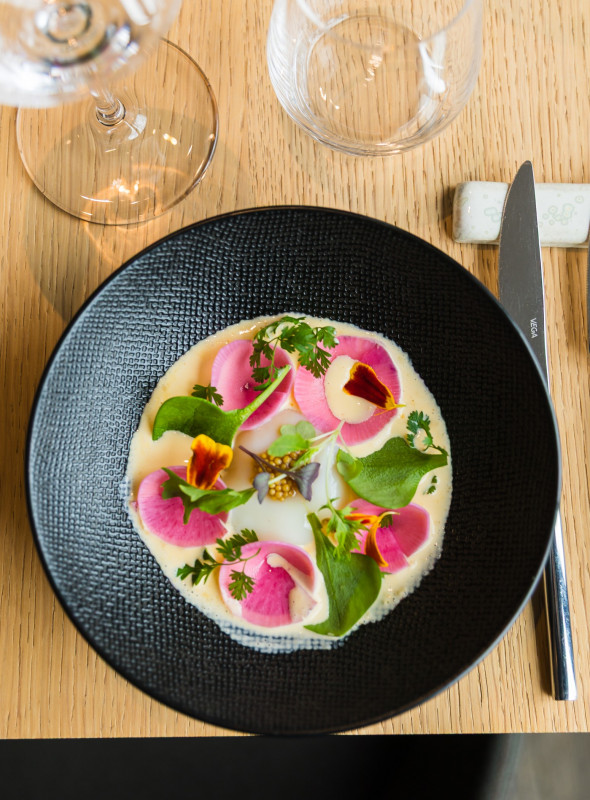 Le Camélia_Bougival Le Camélia_Bougival