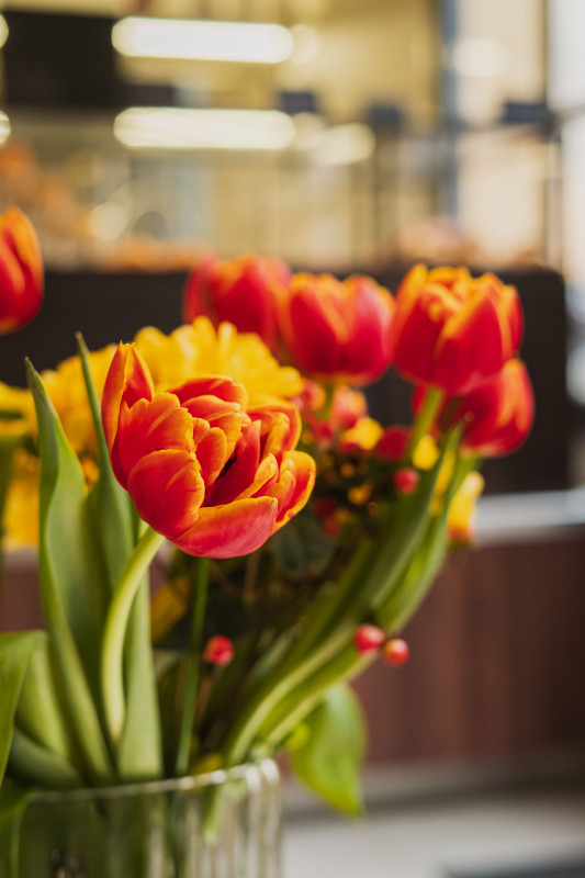 Brume Café_Versailles