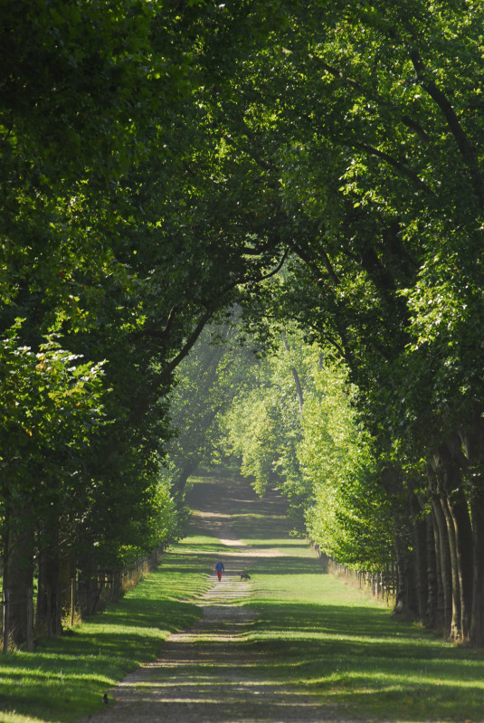 Footing