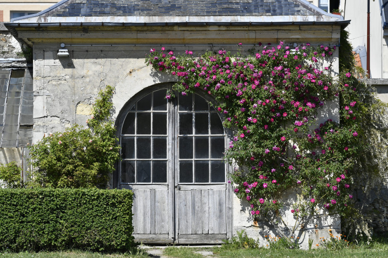 Potager du Roi