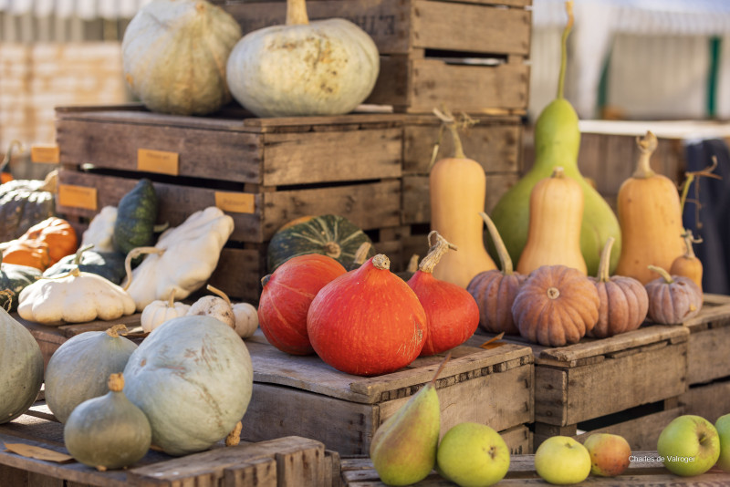 Potager du Roi