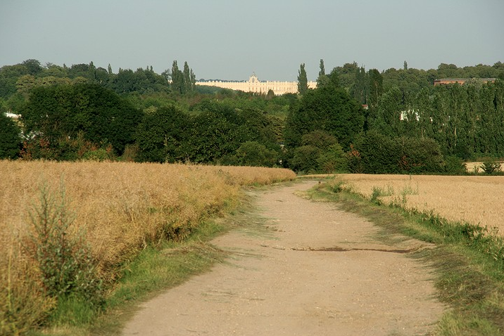 L'allée Royale L'allée Royale