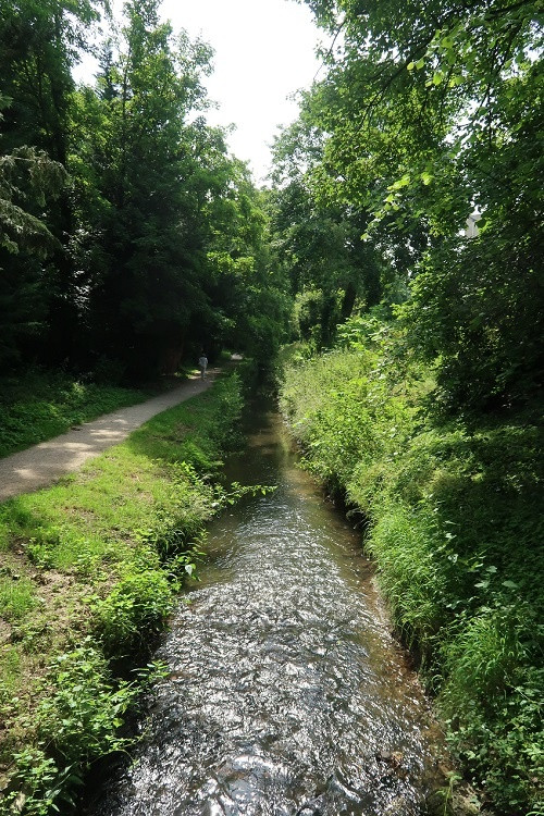 La Bièvre à Bièvres