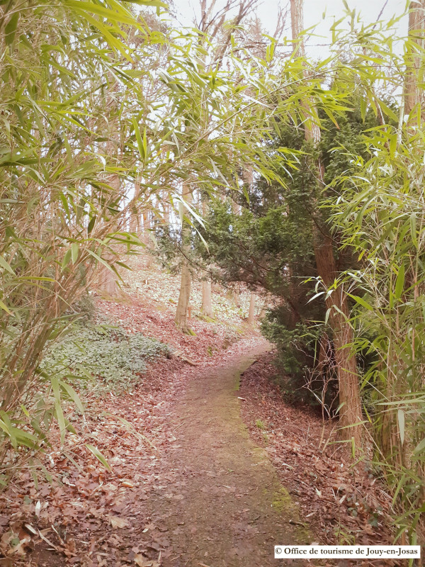 Chemin - © Office de tourisme de Jouy-en-Josas Chemin