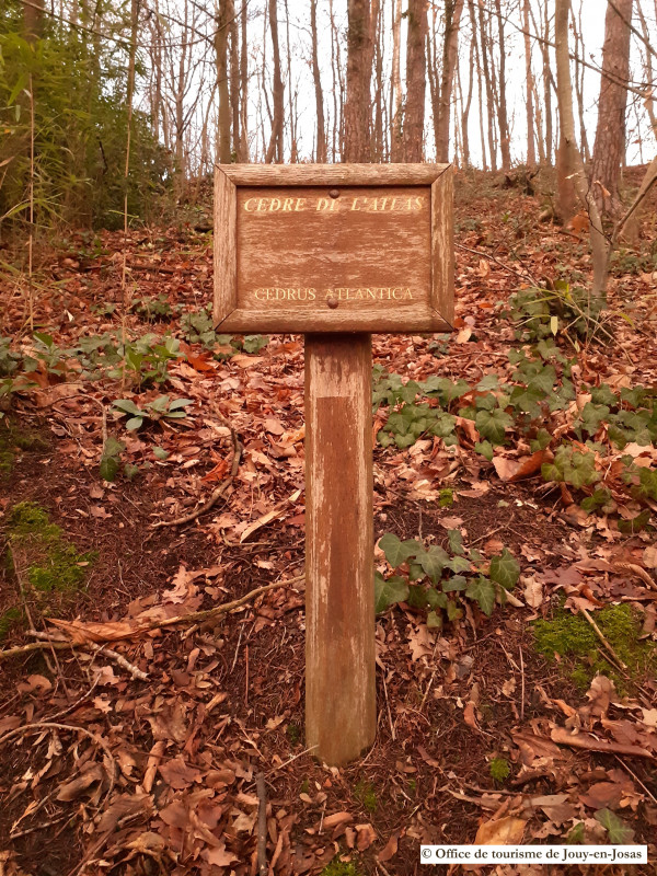 Panonceau arbre remarquable - © Office de tourisme de Jouy-en-Josas Panonceau arbre remarquable