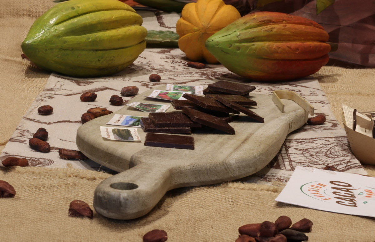 Evasion Cacao
