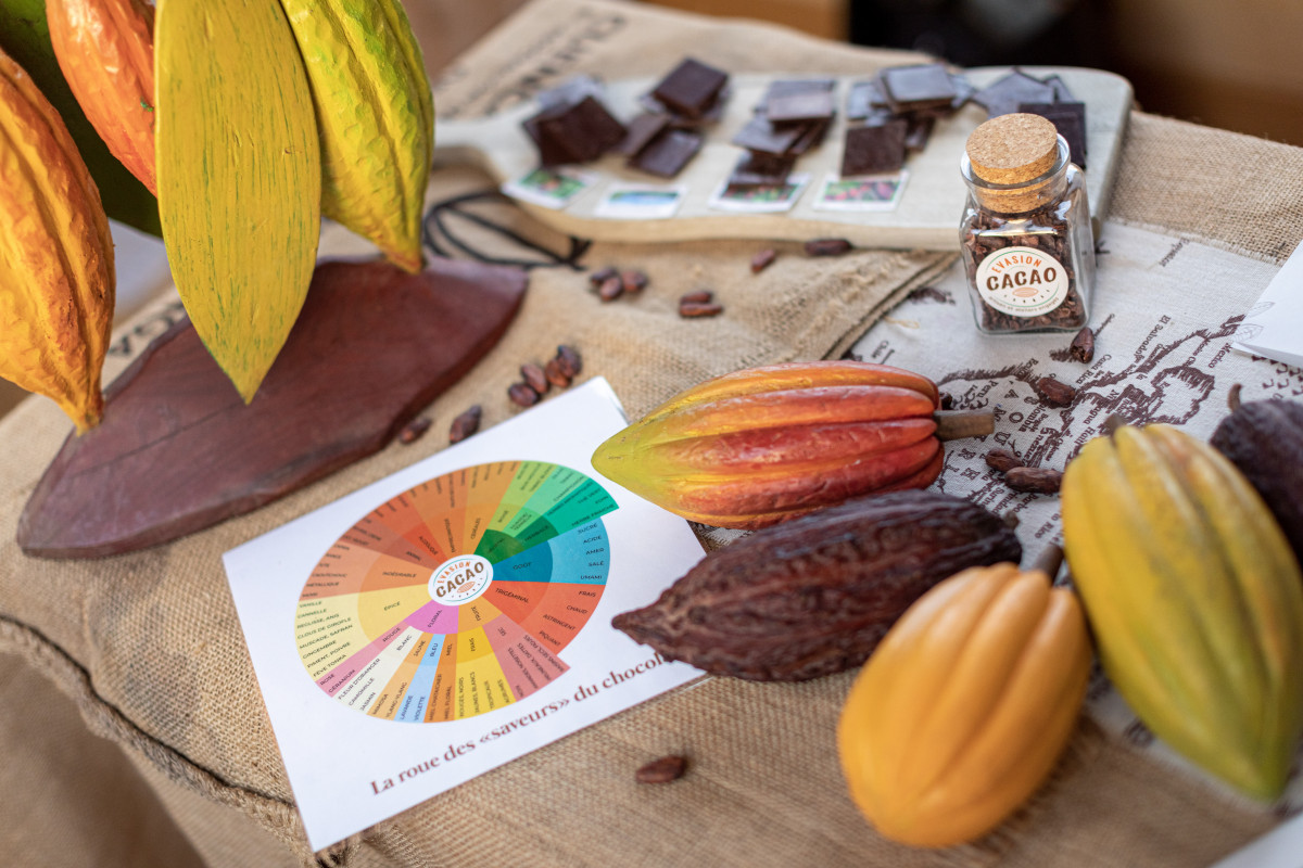 Evasion Cacao