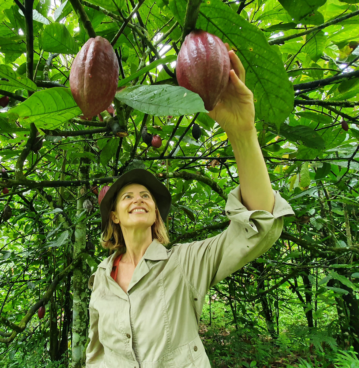 Evasion Cacao