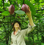 Evasion Cacao