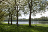 Pièce d'eau des Suisses