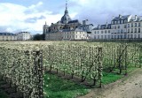 800x600-journee-nature-potager-inconnu-2-24753-29373