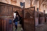 visite-guid-e-de-l-acad-mie-questre-41008