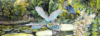 Versailles-Chèvreloup Arboretum - Celebration of Nature_Le Chesnay-Rocquencourt