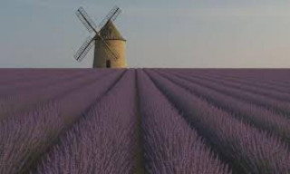 Théatre Montansier - Letters from my Windmill_Versailles