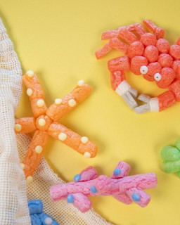 Espacio Richaud - Visita-taller: Barcos y animales marinos_Versailles