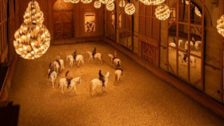 Centre de musique baroque - chevauchée baroque_Versailles - © Centre de musique baroque Centre de musique baroque - chevauchée baroque_Versailles