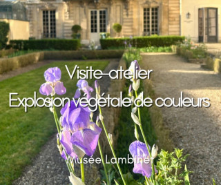 Musée Lambinet - ‘Explosion of colours in plants’ workshop tour_Versailles
