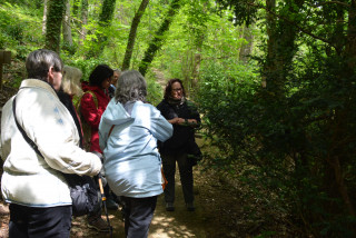 Merveilles de la Nature au bord de la Bièvre (balade découverte)_Jouy-en-Josas