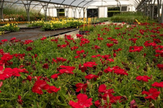 Arboreto de Chèvreloup - Entre bastidores del Jardín Botánico_Le Chesnay-Rocquencourt