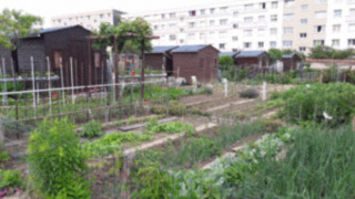 Jardins familiaux des Petits-Bois - Rendez vous au Jardins_Versailles