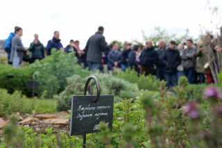 Potager du Roi - Visite guidée thématique : À la découverte des plantes médicinales_Versailles - © Sarah Ballesteros Potager du Roi - Visite guidée thématique : À la découverte des plantes médicinales_Versailles