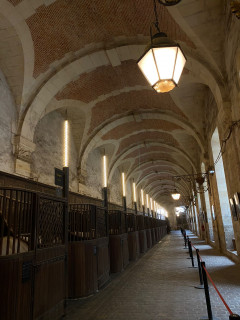 European Heritage Days – Self-guided tour of the royal stables_Versailles