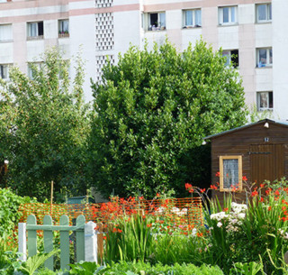 European Heritage Days – Tour of the Petits-Bois Allotment Gardens_Versailles