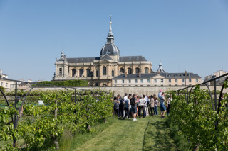 European Heritage Days 2024 - Potager du Roi