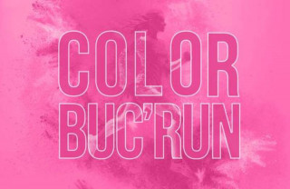 Castle of Buc - Color Buc'Run_Buc
