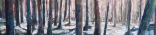 Galería «À l'écu de France» - Exposición «Bosques»: proyección_Viroflay