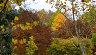 Versailles-Chèvreloup Arboretum – Special Halloween Trail_Le Chesnay-Rocquencourt - © Arboretum de Versailles-Chèvreloup Versailles-Chèvreloup Arboretum – Special Halloween Trail_Le Chesnay-Rocquencourt